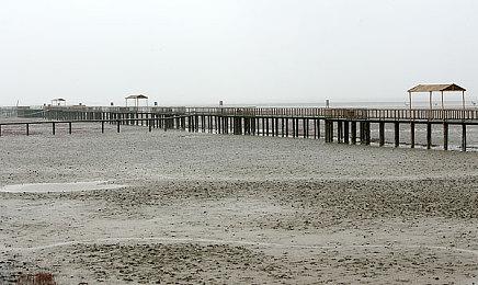 黑曜石《Pentiment》PS5帧率比Xbox高 总监称是Bug马上修复